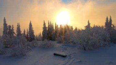 Romantik donmuş kış manzarasında, karlı orman ağaçlarının üzerinde gün batımının renkli ışığı. Akşam güneşi ve güneş ışığı soğuk Alp Dağları 'nın doğasında, doğal ortamda. Yavaş çekim 60fps 