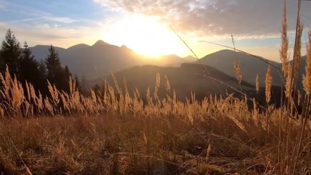 Luz Sol Nascer Sol Colorido Sobre Paisagem Montanhas Alpinas Com — Vídeo de Stock