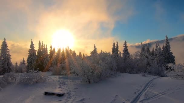 Beautiful Colors Sunrise Sky Sun Clouds Moving Wild Snowy Forest — Stock Video