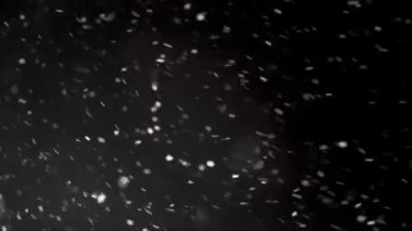 Siyah arka planda kar yağıyor. Gerçek kar taneleri kara kışın rüzgarda düşer ve hareket eder. Hafifletici karıştırma kipi ya da lumma tuşu ile kolayca üsteleme. 