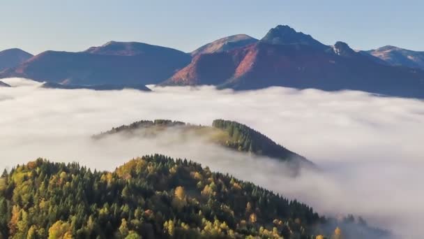 Luftaufnahme Des Nebligen Herbstwaldes Berglandschaft Alpiner Natur Bei Sonnenaufgang Zeitraffer — Stockvideo