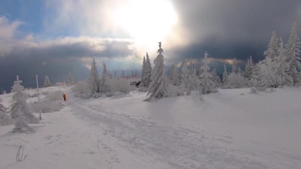 Туристический Поход Замерзшей Снежной Природе Холодном Зимнем Лесном Ландшафте Steadycam — стоковое видео