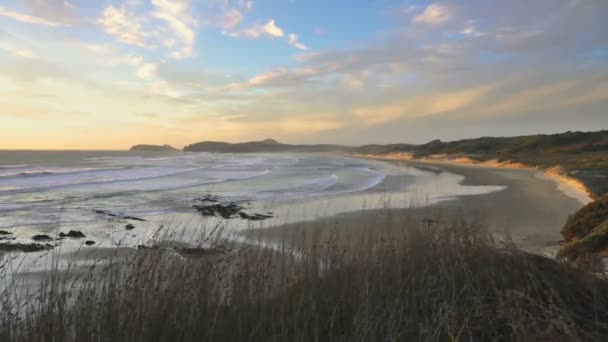 Lugnt Tjuvlyssna Mil Strand Nya Zeeland Vild Natur Sommar Solnedgång — Stockvideo
