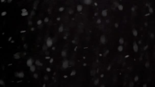 Echte Sneeuw Sneeuwt Koude Winter Zwarte Achtergrond Sneeuwvlokken Vallen Bewegen — Stockvideo