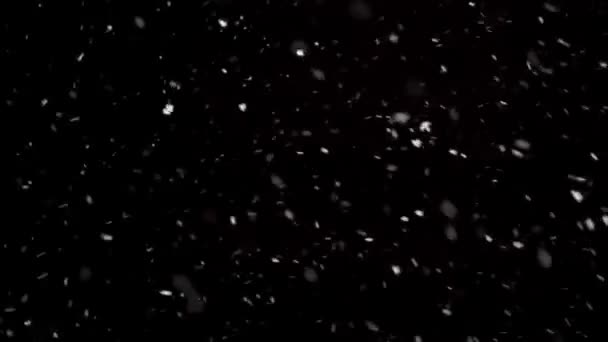 Vita Snöflingor Snöar Kall Vinter Svart Bakgrund Riktig Snö Faller — Stockvideo