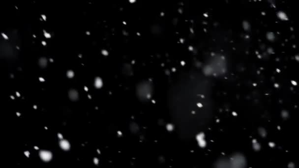Real Snow Snowing Heavily Black Background Video Overlay Winter Nature — Stock Video