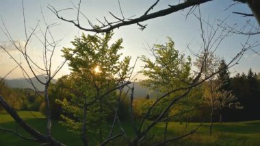 Yeşil orman parkında huzurlu bir gün doğumu bahar sabahı, ağaçların tepesinden, rüzgarlı ve ağır rüzgarlı bir manzarayla..
