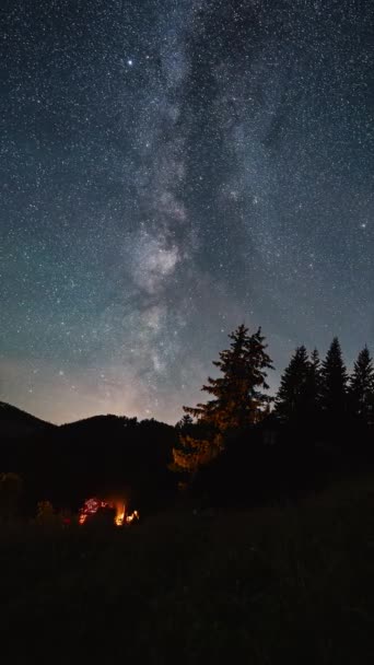 星空の下でキャンプファイアで座っている友人の垂直ビデオ 木製小屋で森の自然の上に銀河の星 天文学的な時間は屋外の冒険を破壊する ソーシャルメディアに最適 — ストック動画