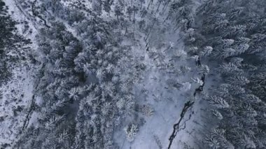 Karlı ağaçlar ve küçük dağlar olan donmuş kış ormanı manzarası. Donmuş doğa arkaplanının yukarıdan aşağıya görünümü