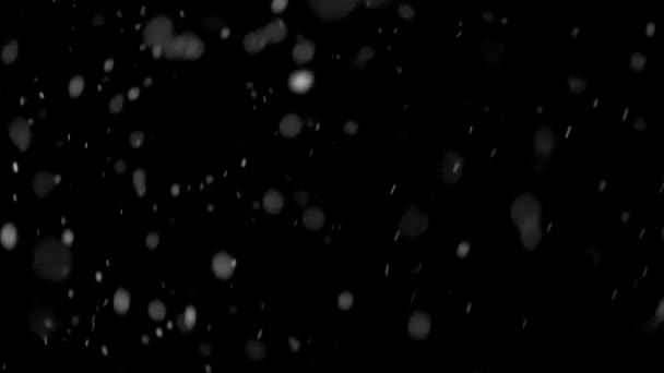 Йде Сніг Різних Напрямках Чорному Тлі Снігове Відео Накладається Зимовій — стокове відео