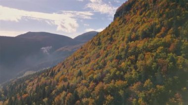 Güneşli bir günde Alp Dağları 'ndaki sonbahar ormanlarının hava manzarası. Renkli ağaçların üzerinde yavaşça uç. 
