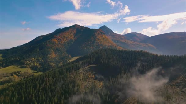 Vista Aérea Natureza Floresta Outono Ensolarada Paisagem Das Montanhas Alpinas — Vídeo de Stock
