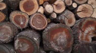 Kış ısıtma mevsimi için hazırlanmış erik ağacı yakacak odun yığını.