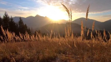 Güneşli bir sonbahar sabahı Avrupa 'da güneşli bir sonbahar sabahı güneşli ve bulutlu gökyüzünün güzel renkleri.. 