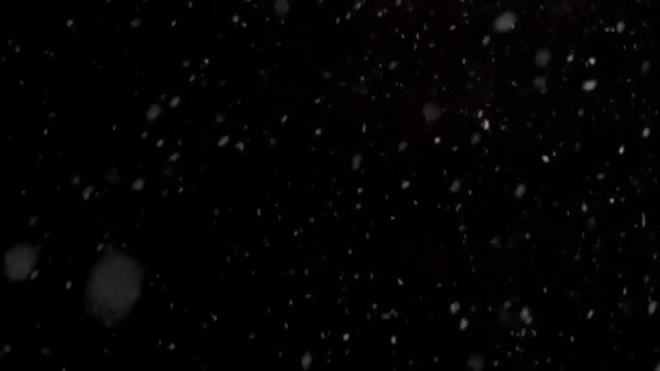Het Sneeuwt Koude Winter Zwarte Achtergrond Echte Wazige Sneeuwvlokken Vallen — Stockvideo