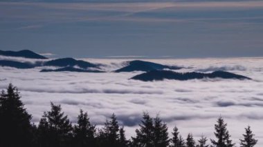 Güzel doğa manzarasında, orman vadisinde hızlı hareket eden sisli bulutlar. Zaman aşımı, aşağı eğ. 