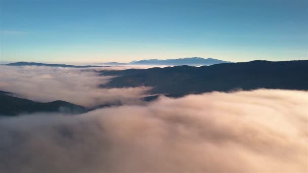 Ködös Felhők Mozognak Erdei Hegyek Felett Napos Őszi Reggeli Természetben — Stock videók