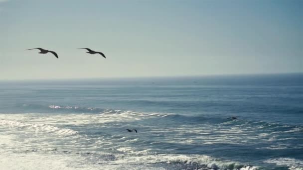 Повільний Рух Чайков Літає Над Блакитною Океанічною Водою Скелястій Береговій — стокове відео
