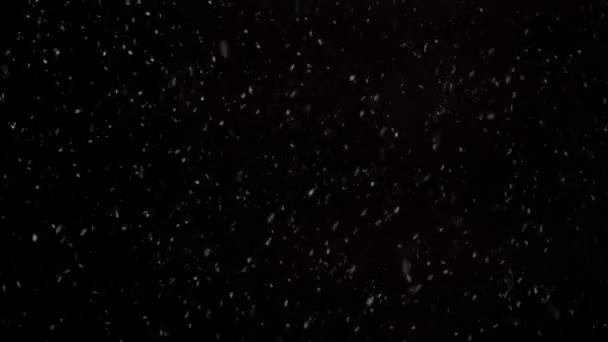 冬天真正的雪 背景是黑色的 轻柔的混音模式或管腔键轻松叠置键控 — 图库视频影像