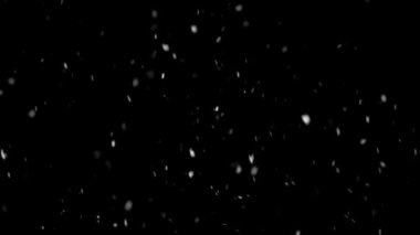 Siyah perde arka planında kar, soğuk kış mevsiminde kar yağıyor. Gerçek doğal video örtüsü