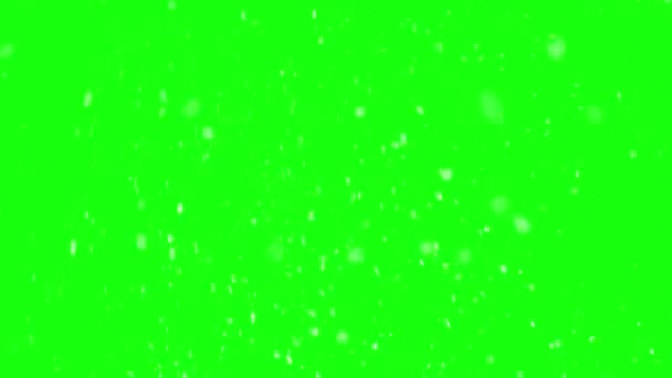 Neve Sullo Sfondo Dello Schermo Verde Nevica Nella Natura Fredda — Video Stock