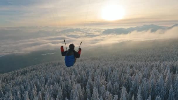 Rustige Paragliding Vlucht Boven Winterbos Mistige Alpine Bergen Bij Zonsopgang — Stockvideo