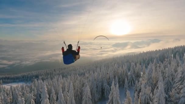 霧のアルプスの山の冬の森の上のパラグライダーフライトの美しさ アドレナリンアウトドアアドベンチャー 極端なスポーツ フリーフライトの自由 フォローカメラ — ストック動画