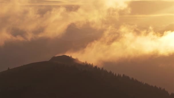 Złote Mgliste Chmury Poruszają Się Szybko Nad Lasem Jesiennym Krajobrazie — Wideo stockowe