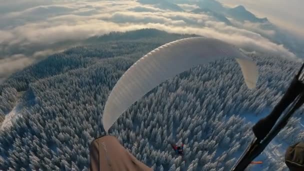 冬のワンダーランド アウトドアアドベンチャー 極端なスポーツ フリーフライトの自由の上を飛ぶパラグライディングアドレナリン — ストック動画