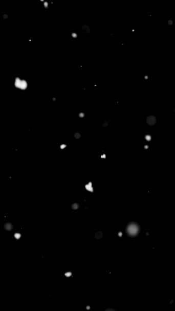 Вертикальное Видео Реального Снега Черном Фоне Идет Снег Рождественская Природа — стоковое видео