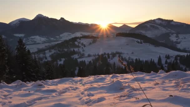Восход Солнца Зимних Альпийских Горах Естественном Утреннем Пейзаже Съемки Открытом — стоковое видео