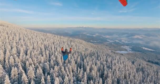 凍った冬の森の自然の上の平和なパラグライダーフライト 寒い夜のアルプスの風景に雪の木の上に自由に飛ぶアドレナリン冒険の自由 カメラをフォローする — ストック動画