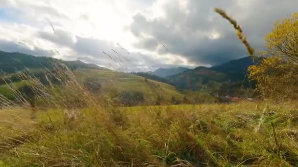Grassige Weide Zonnige Herfst Platteland Natuur Slow Motion — Stockvideo