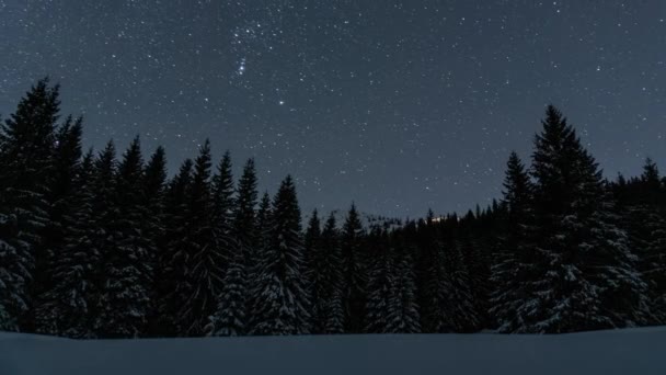 在冬季的群山中 蓝星的夜空和星星在雪地的森林上飞舞 月光下的月光闪烁着月亮的光芒 天文时间差全景 — 图库视频影像
