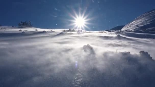 Día Ventoso Invierno Congelado Alpes Montañas Naturaleza Con Nieve Soplada — Vídeos de Stock