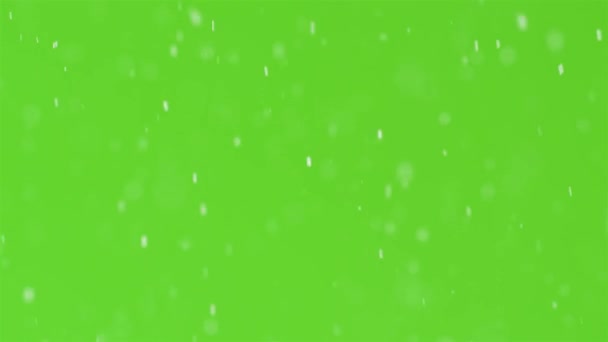 Powolny Ruch Prawdziwej Pokrywy Śnieżnej Zielonym Tle Ekranu Pokojowo Padający — Wideo stockowe