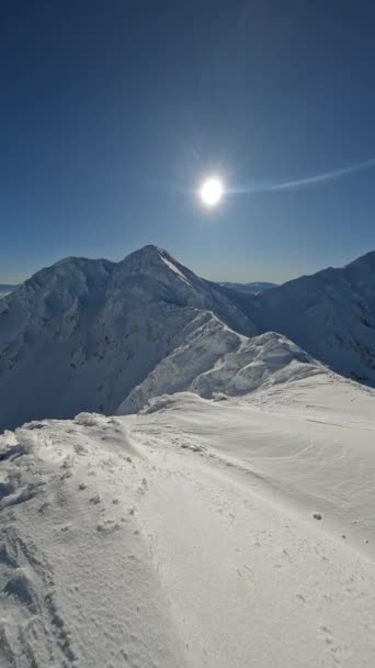 Vídeo Vertical Los Alpes Helados Invierno Montañas Nevadas Hermoso Día — Vídeo de stock