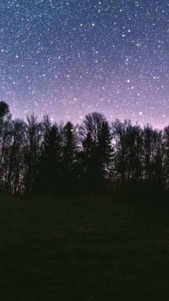 Schöner Sternenhimmel Mit Sternen Der Milchstraßengalaxie Die Sich Der Frühlingsnacht — Stockvideo