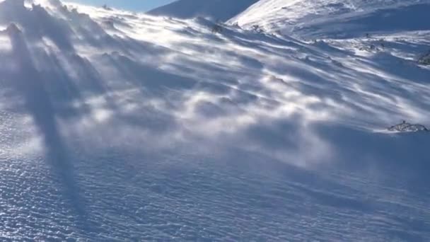 Tempo Ventoso Nas Montanhas Inverno Manhã Com Vento Soprando Neve — Vídeo de Stock