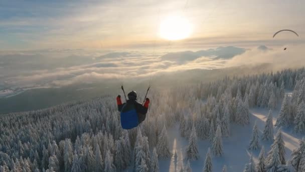 Apacible Vuelo Nocturno Vuelo Parapente Sobre Bosque Las Maravillas Invernales — Vídeos de Stock