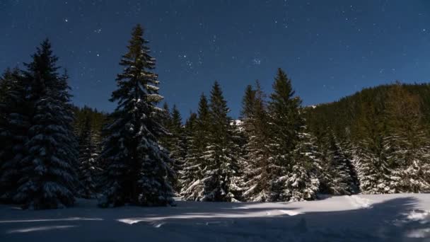 Время Голубого Звездного Ночного Неба Звездами Быстро Перемещающимися Над Зимней — стоковое видео