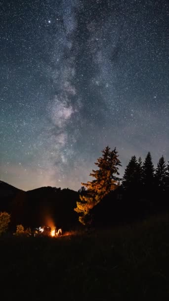 朋友们坐在篝火边的垂直视频 在星星点点的夜空下 银河之星在森林的上空盘旋 天文户外探险 社交媒体的时代一去不复返 — 图库视频影像