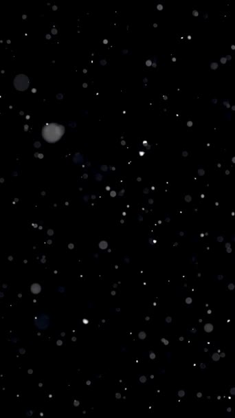 Verticale Video Langzame Beweging Van Sneeuw Sneeuwt Het Winterseizoen Zwarte — Stockvideo