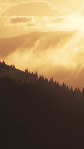 Mistige Wolken Bewegen Snel Bos Natuur Winderige Ochtend Natuurlijk Landschap — Stockvideo