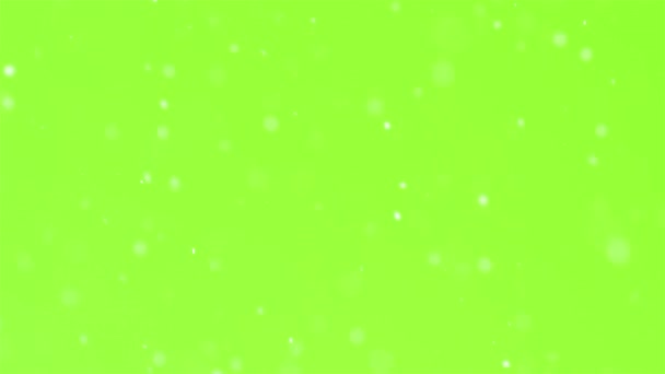 Sneeuw Vallen Het Sneeuwt Groen Scherm Winter Seizoen Achtergrond Gemakkelijk — Stockvideo