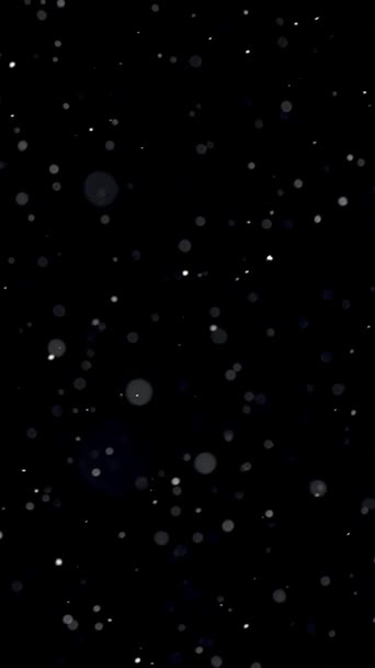 Vertikaler Hintergrund Von Echtem Schnee Schneit Auf Schwarzem Hintergrund Friedlicher — Stockvideo