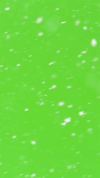 本物の雪の垂直背景について 平和な寒い冬のオーバーレイ スローモーション ソーシャルメディアストーリーで緑の背景に雪が降っています — ストック動画