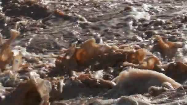 Şiddetli Fırtınalı Yağmurun Ardından Sel Basmış Nehre Dökülen Kahverengi Çamurlu — Stok video