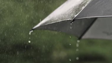 Fırtınalı yaz gününde kara şemsiye yağmuru, yağmurlu hava arkaplanı, gerçek yağmurun yavaş çekimi.