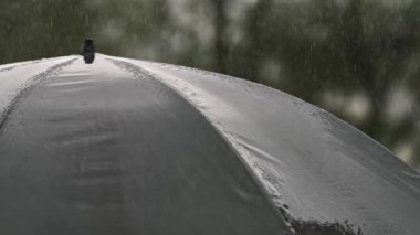 Fırtınalı yaz gününde kara şemsiye yağmuru, yağmurlu hava arkaplanı, gerçek yağmurun yavaş çekimi.